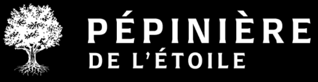 Capture d’écran 2026-02-17 144859